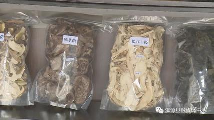 乔后镇:野生菌上做文章 靠山吃山“闯”新路